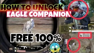HOW TO UNLOCK EAGLE COMPANION | FREE FOR ALL PLAYERS | SEE THIS VIDEO TILL END 🤩😎😍