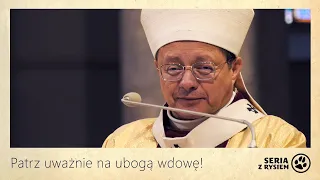 Patrz uważnie na ubogą wdowę! | abp Grzegorz Ryś