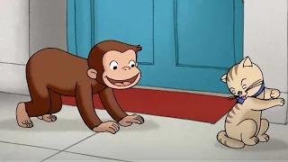 Curioso Come George 🐵 Imparare a conoscere gli animali 🐵Cartoni per Bambini