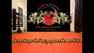 De vorba pe tatami episodul 12 Remi Chidean