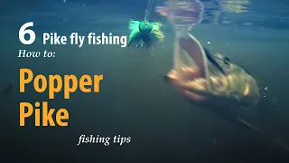 How to • Pike fly fishing • Pike Popper • fishing tips