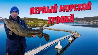 Мой первый морской трофей ,зачётная рыбалка ,уйма позитивных эмоций ,и просто наслаждение от природы