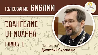 Евангелие от Иоанна, глава 1. Протоиерей Димитрий Сизоненко. Толкование Библии. Священное Писание