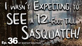 My Bigfoot Sighting Episode 36 - I Wasn’t Expecting to See a 12-Foot Sasquatch!