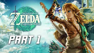 The Legend of Zelda Tears of the Kingdom Walkthrough Part 1 - Great Sky Island & Temple of Time
