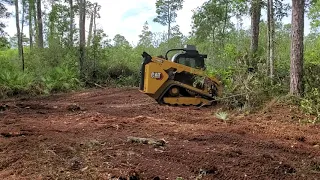 30 minutes of Mulching with Cat 299d3 xe Land Management and Denis Cimaf 185