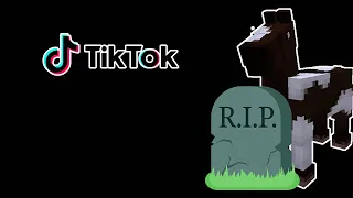 Tik Toks to pay respects for Joergen (RIP)