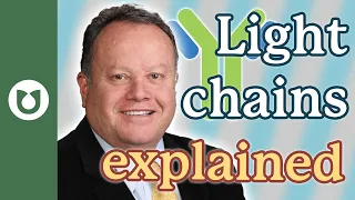 What are light chains, how are light chains reported, and why?