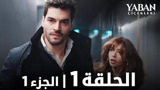 الأزهار البرية - الحلقة 1 - القسم 1 (مترجم بالعربية) - Yaban Çiçekleri @YabanCicekleriArabic