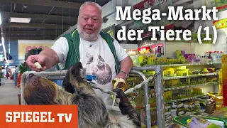 Mega-Markt der Tiere (1): Nachschub für die Aquaristik | SPIEGEL TV