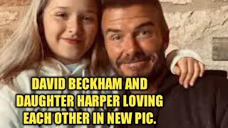 #David Beckham is #Harper Seven's double in cute new father-daughter snap.