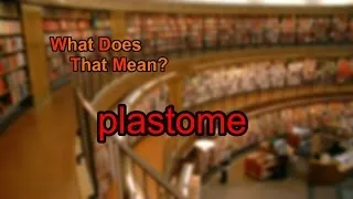 What does plastome mean?