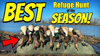 Duck Hunting - BEST Refuge DUCK HUNT of the SEASON!