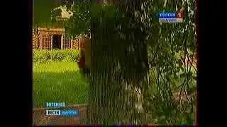 Два удмуртских дерева вошли в список памятников живой природы России
