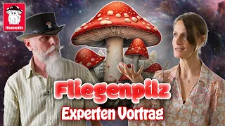 Deshalb sind Fliegenpilze nicht giftig! Expertenvortrag