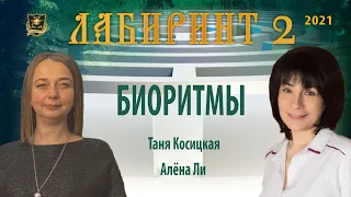 НУМЕРОЛОГИЯ | Лабиринт - 2 | Биоритмы |  Татьяна Косицкая