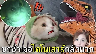 [ENG SUB] Cat Encounter Dinosaur