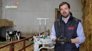 Calf disbudding demonstration with Joris Somers