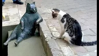 Famous Cat Honored With His Very Own Statue