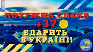 В Україну повертається потужна спека: вдарить до +37° - синоптик