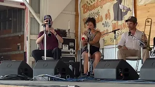 Tuba Skinny- Cushion Foot Stomp, Clarence Williams (1927) Delaware Valley Bluegrass Festival