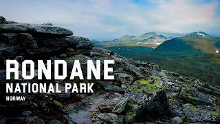 Norway like You never seen before. Weekend in Rondane National Park in summer time.