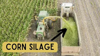 CHOPPING CORN SILAGE | DAY 2