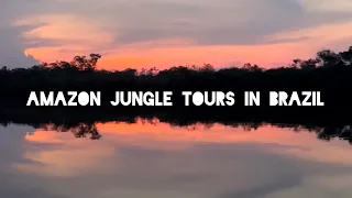 Discover all the Wonders of the Amazon Rainforest 🌴🦥