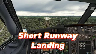 Thrilling Landing on Charleston's Short Runway | 738 BBJ2 | Tobii 5 | RTX 4080 | 4K