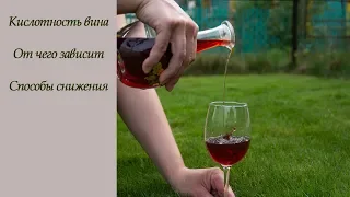 Кислотность вина. Методы ее снижения