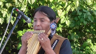 Восхитительная оживляющая музыка индейцев.