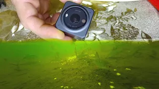 Подводная камера из экшен камеры. Как сделать подводную камеру