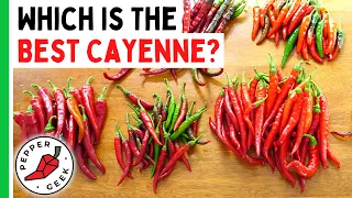 Which Is The BEST Cayenne Pepper? Comparing 7 Different Varieties - Pepper Geek