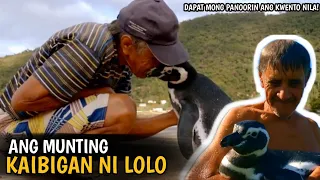 Penguin Na Nilalakabay Ang 4000 Milya Para Makita Ang Taong Nagligtas Sa Kanya.