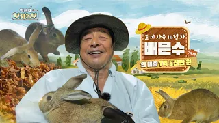 [Episode 205] Annual sales of 150 million won through rabbit farm operation 'Rich Farmer'