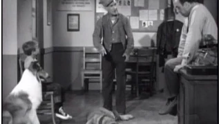 Lassie - Episode #257 - "The Bloodhound" - Season 8 Ep. 2 - 09/17/1961