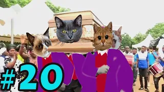 Coffin Dance Meme: Dog and Cat Meme Compilation 2021 #20