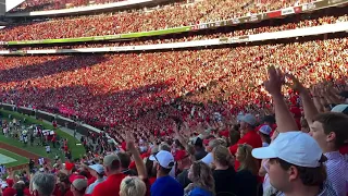LIGHT UP SANFORD! | Georgia Bulldogs | One of the great traditions in sports | #uga #football