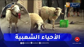 شراء الأضحية أسبوعين قبل العيد..  ميزة تطبع الاحياء الشعبية