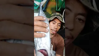 Paano malaman ang tunay na sariwang isda