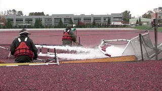 2021 10 25 Cranberry harvest