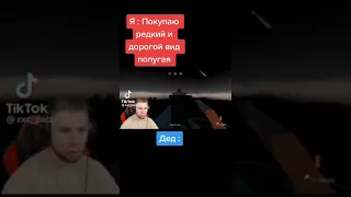 Мемы по ТикТоку #527