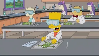 Bart dissects a frog [The Simpsons]