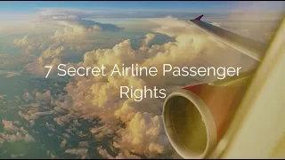 7 Secret Airline Passenger Rights I Jetsetter.com