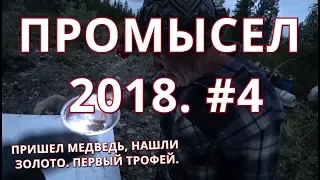 Промысел 2018. Ночью вышел медведь, стреляем. Нашли золото. Первый трофей. Как построить солонец.