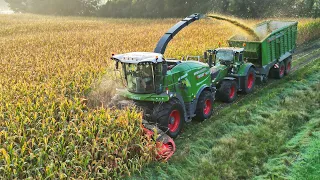 Mais Silage 2023 | Fendt Katana 650 | BMWW