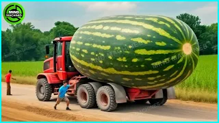 The Most Modern Agriculture Machines That Are At Another Level, How To Harvest Watermelons On Farm