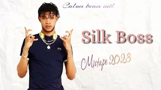 Silk Boss Mix 2023 | Silk Boss Mixtape 2023 | Silk boss Dancehall Mix 2023