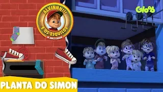 A PLANTA DO SIMON | ALVINNN!!! E OS ESQUILOS | CLIPES MUSICAIS | Mundo Gloob