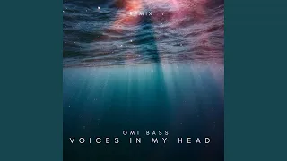 Voices in my head (Remix)